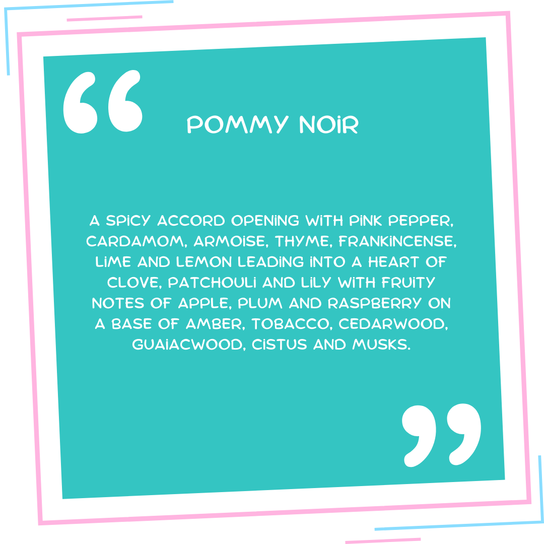 Pommy Noir Wax Melt Snap Bar