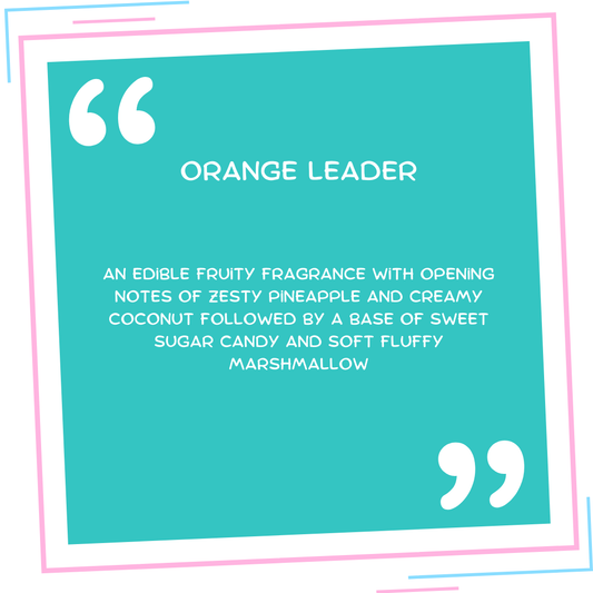 Orange Leader Soap Sponge