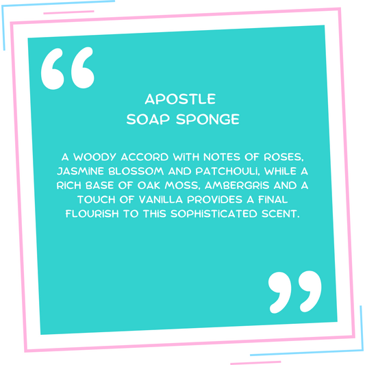 Apostle Soap Sponge